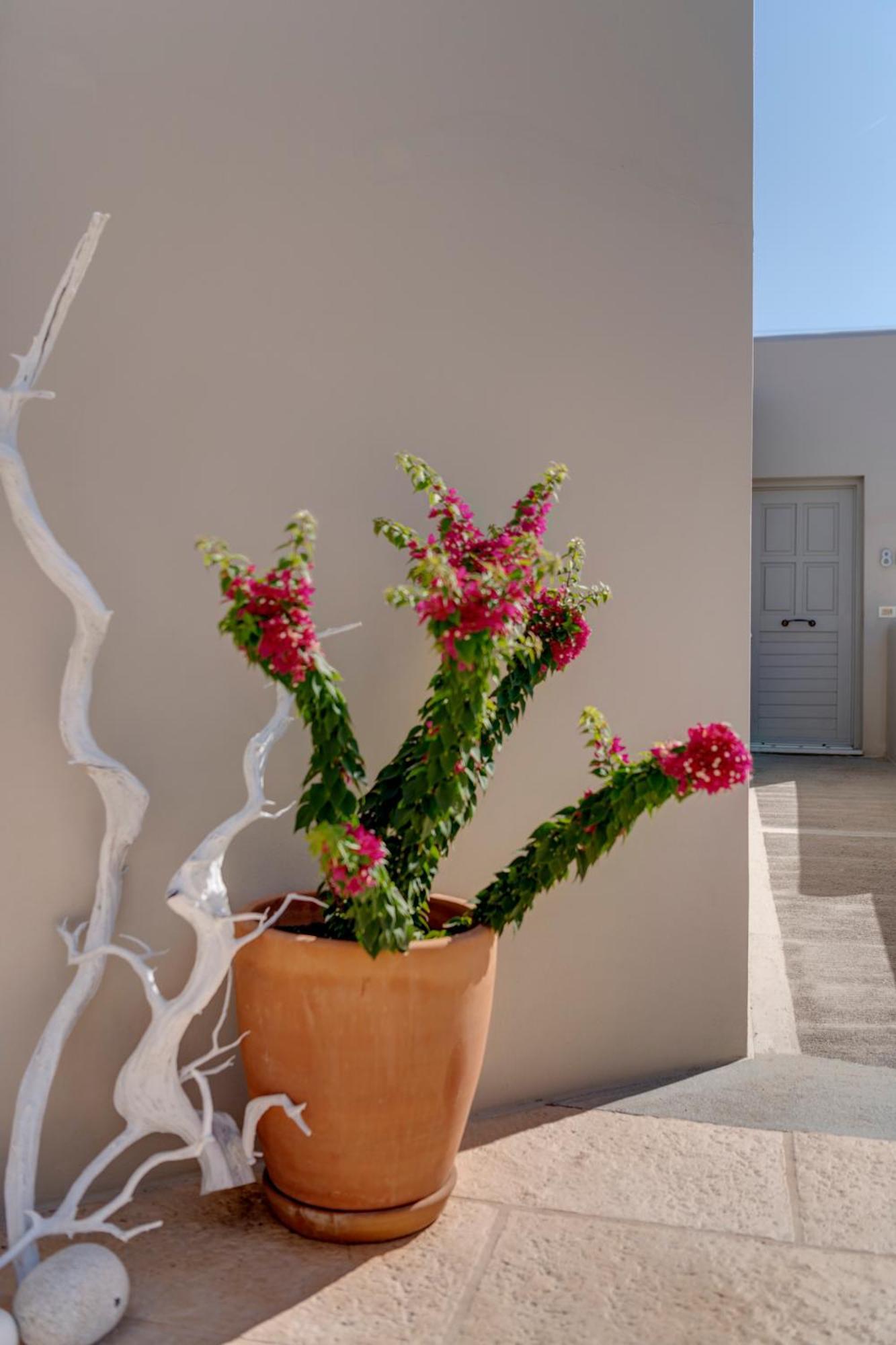 Kouros Art Hotel (Adults Only) Stelida  Eksteriør bilde